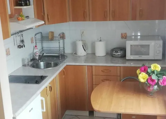 Appartamento Cichy *